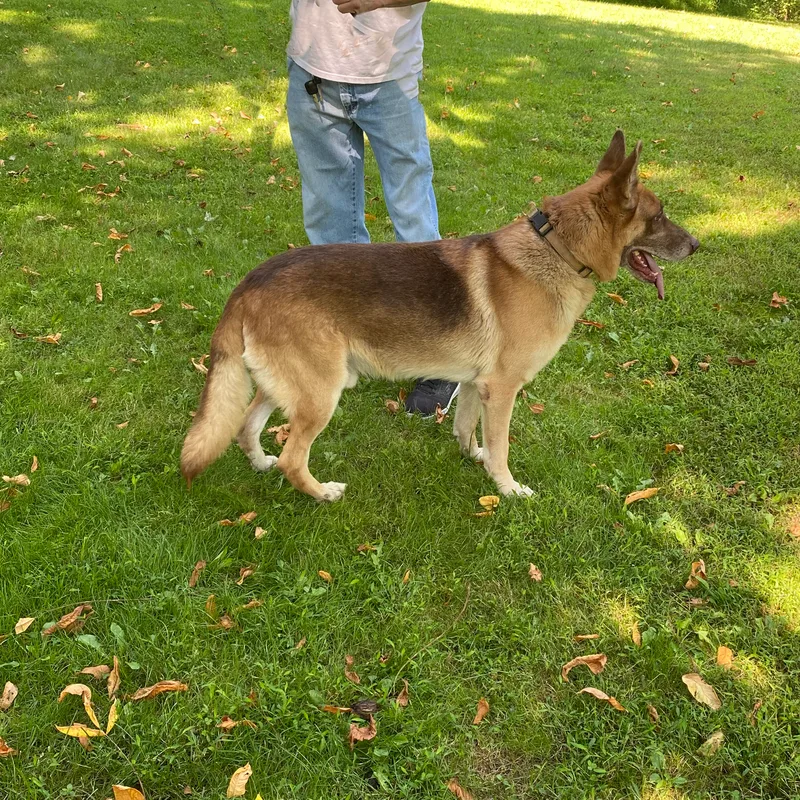 Joker And Harley thumbnail 3