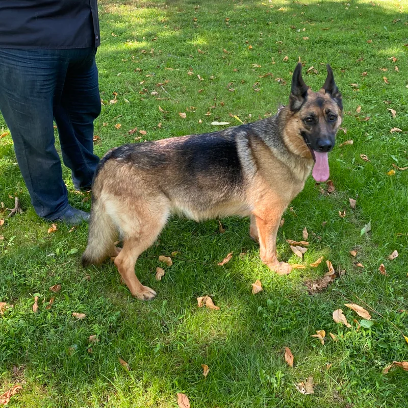 Joker And Harley thumbnail 5