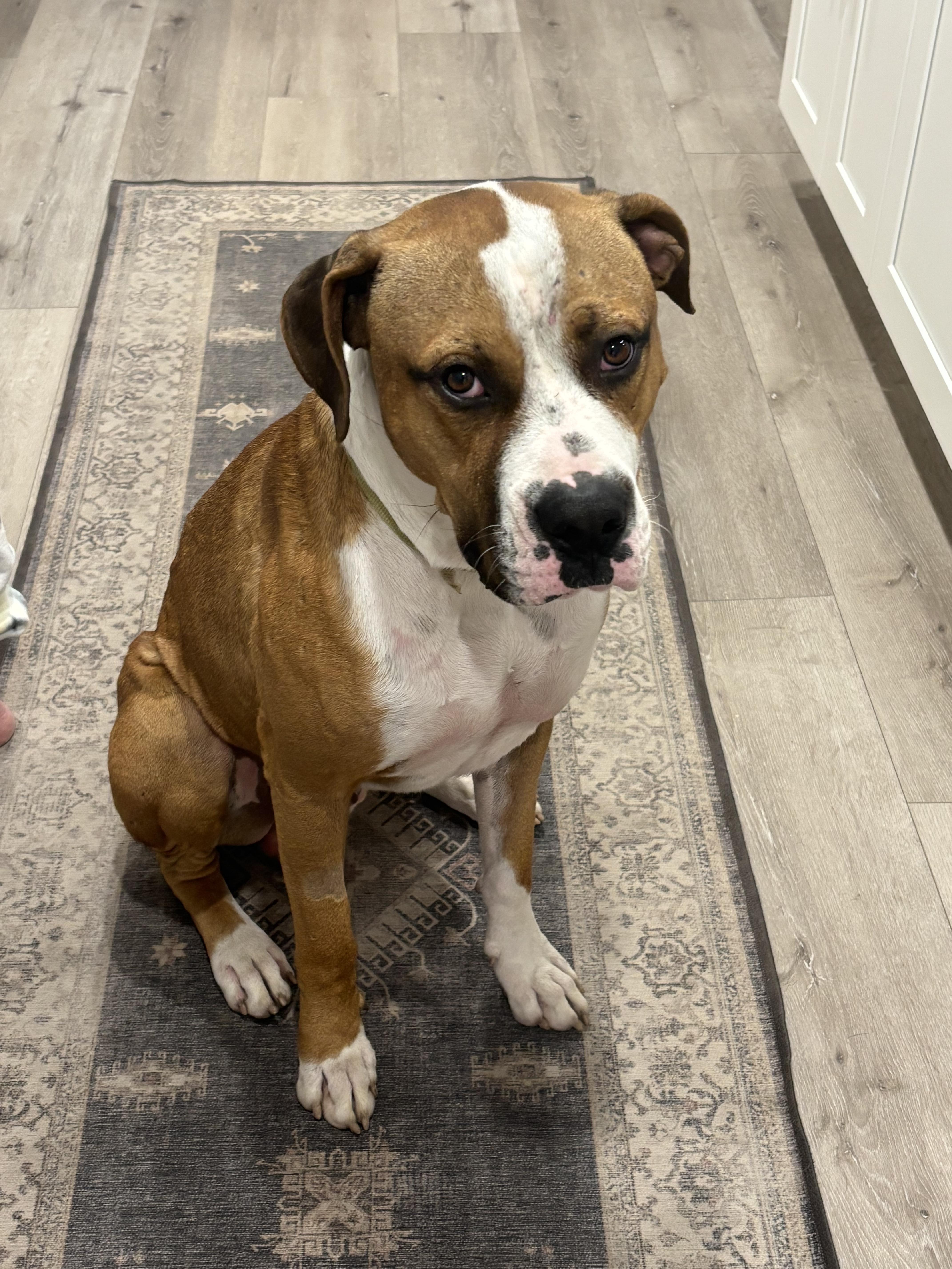 Wheaties thumbnail 2