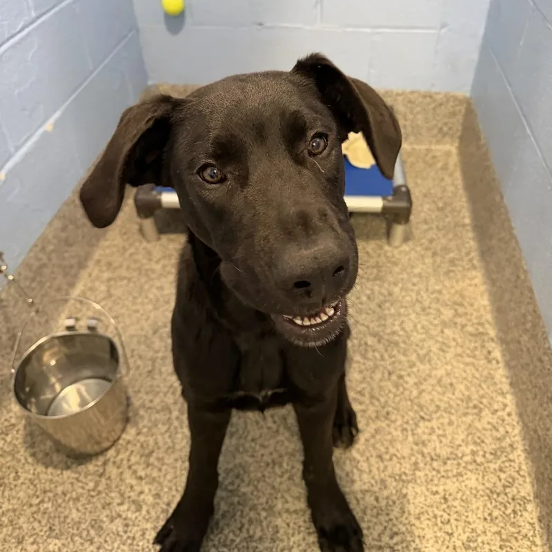 Jett Black thumbnail 2