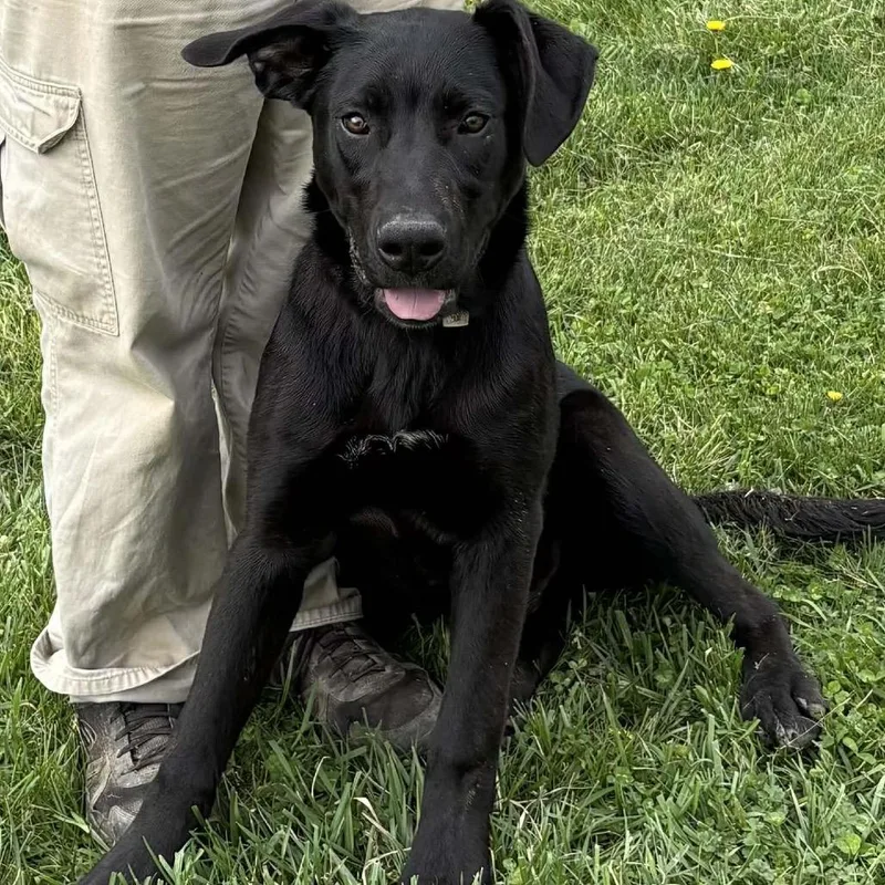 Jett Black thumbnail 5