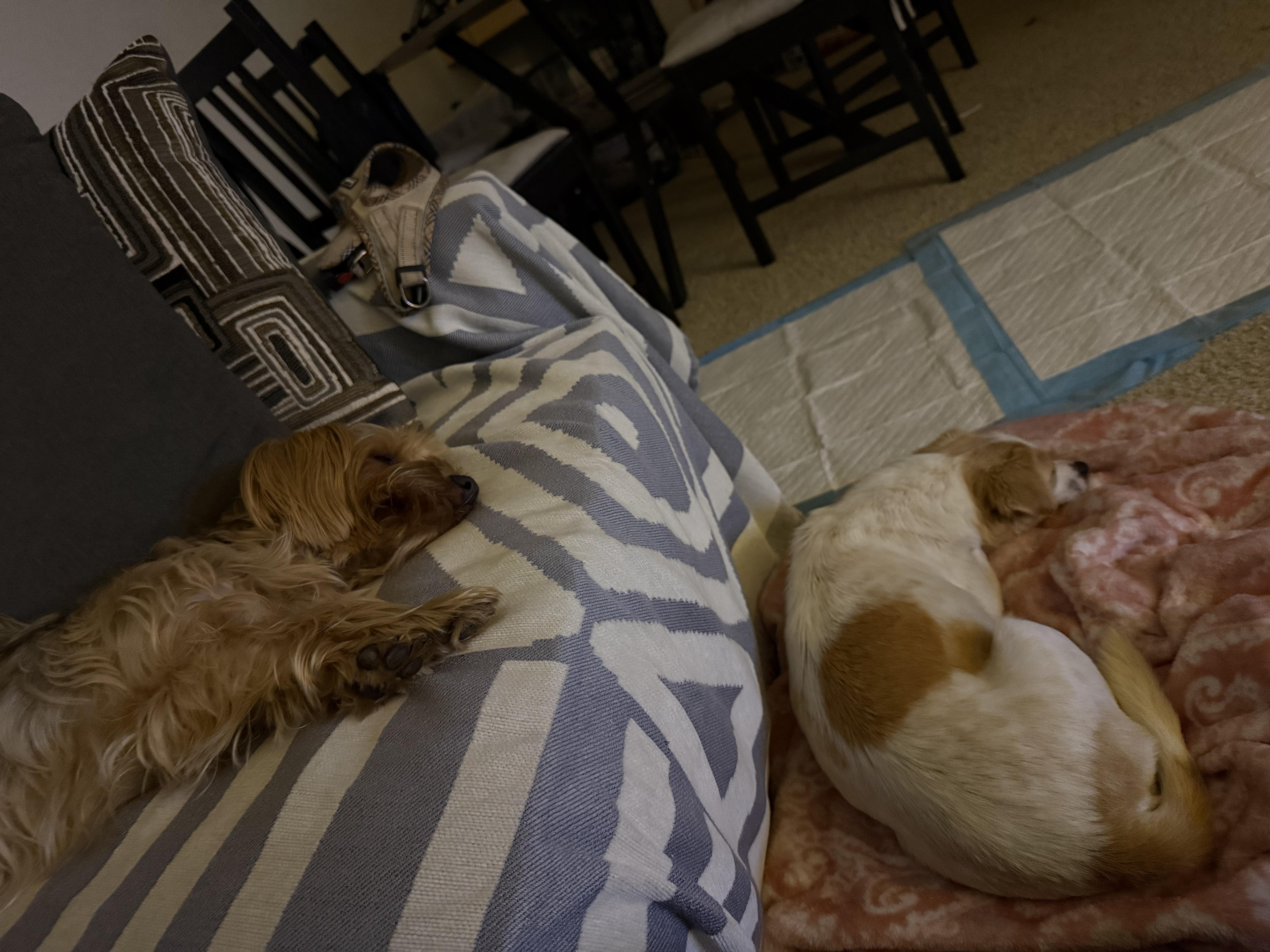 Audrey Hepburn thumbnail 2