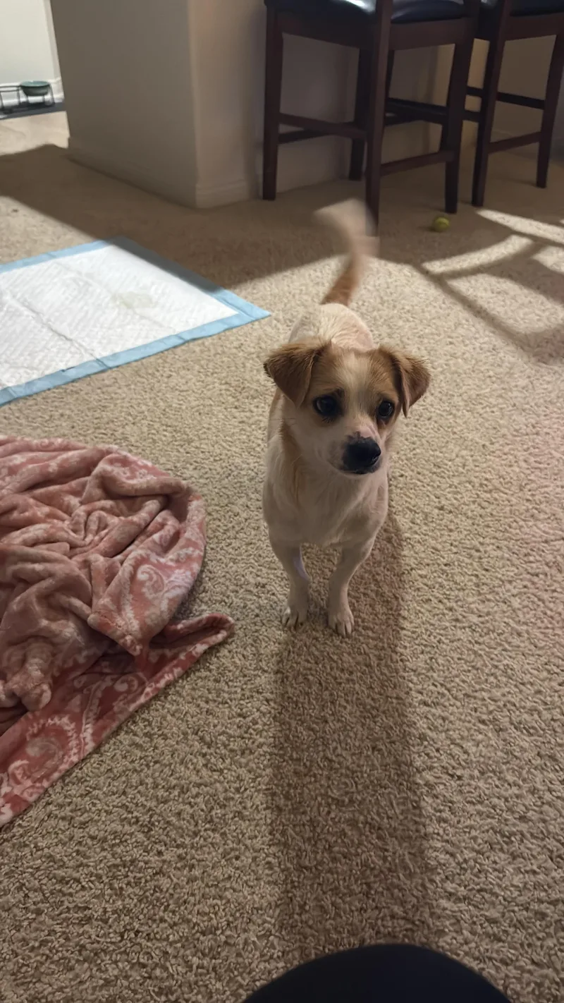 Audrey Hepburn thumbnail 3