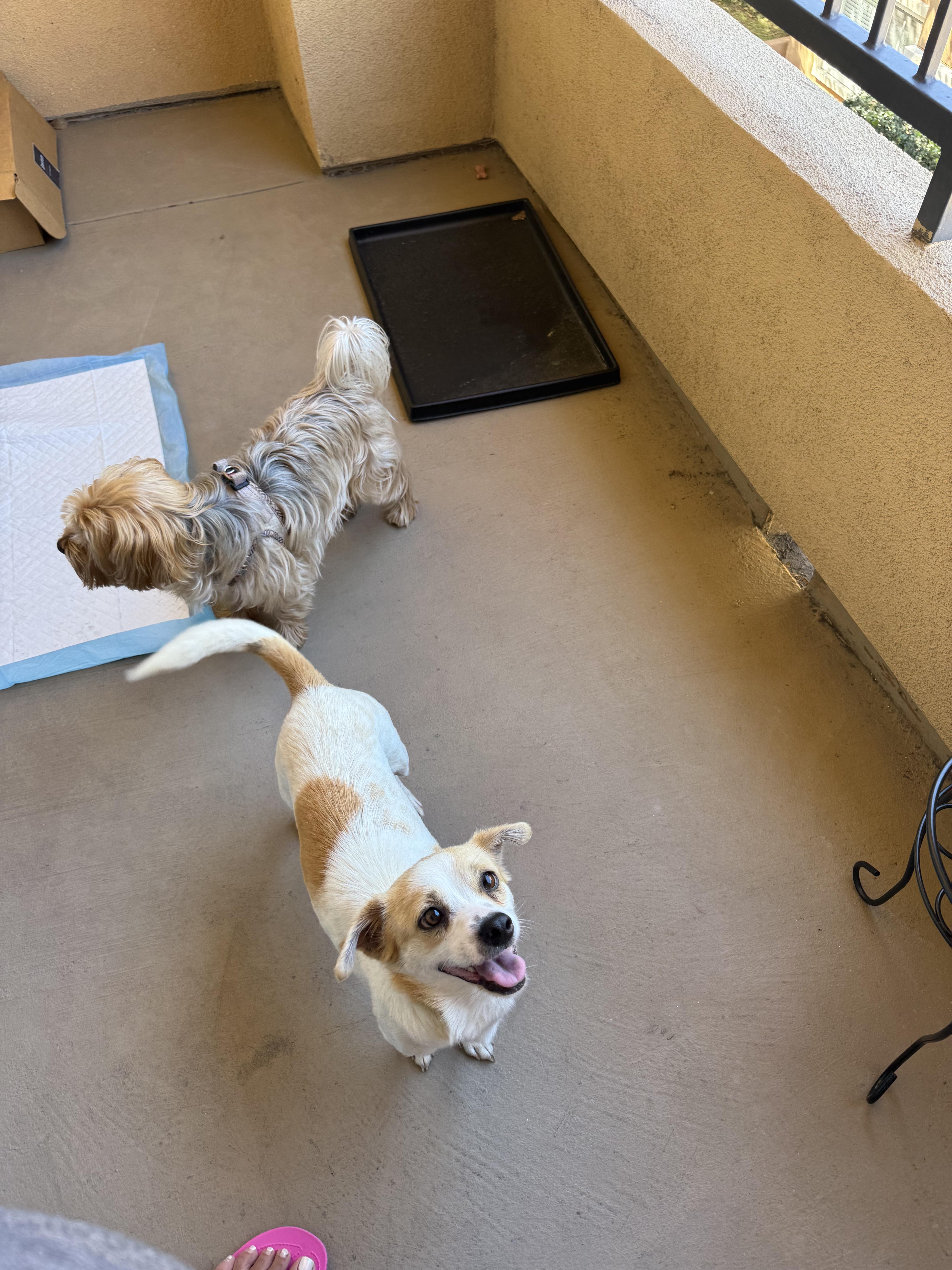 Audrey Hepburn thumbnail 5