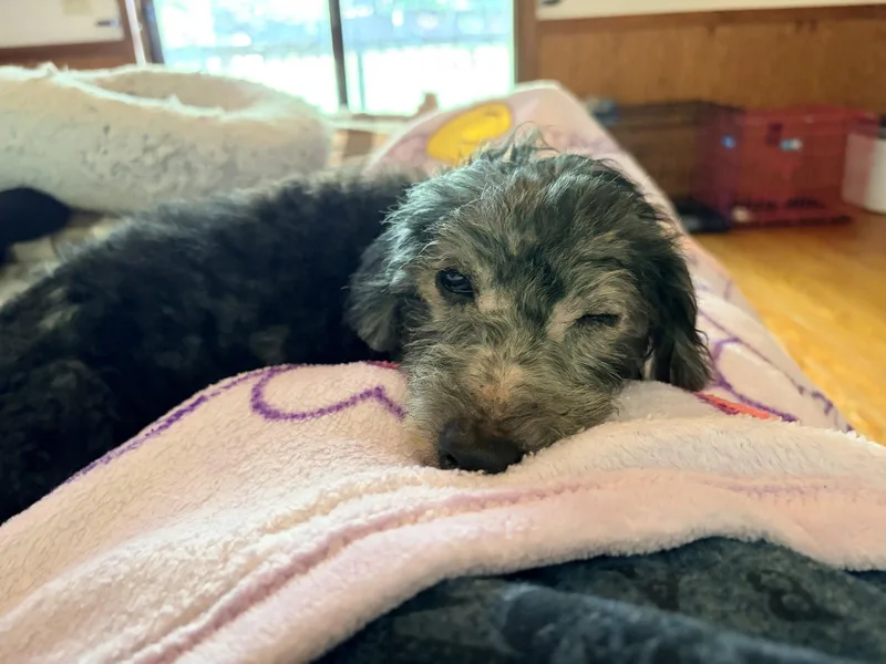 Sammie thumbnail 2