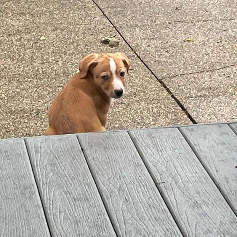 Copper