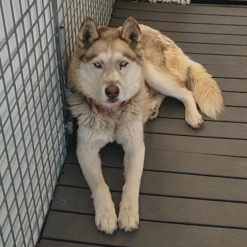 Kita