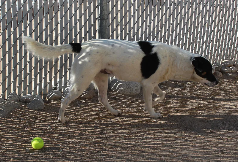 Casper thumbnail 5