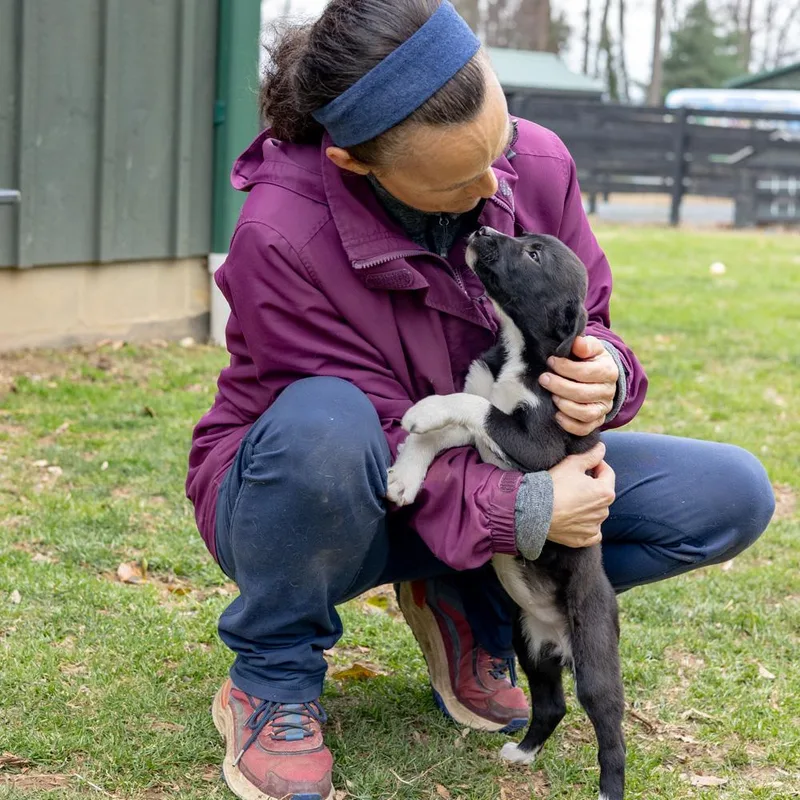 Rosemaryavail thumbnail 3