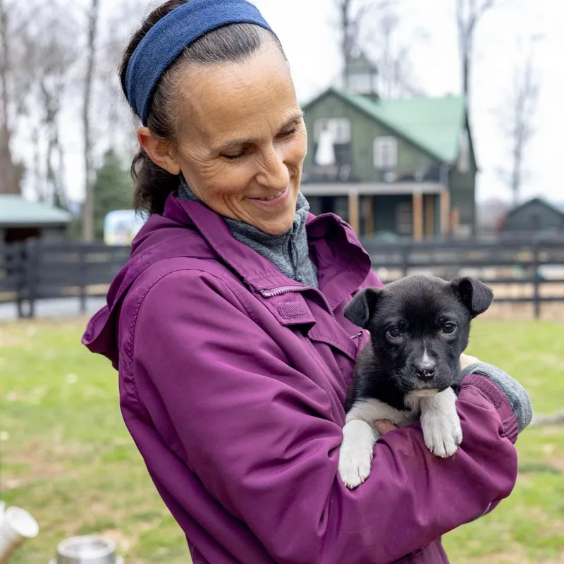 Rosemaryavail thumbnail 4