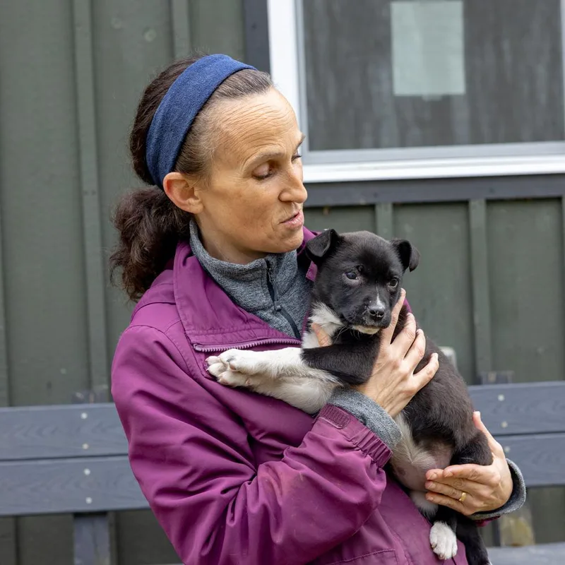 Rosemaryavail thumbnail 6