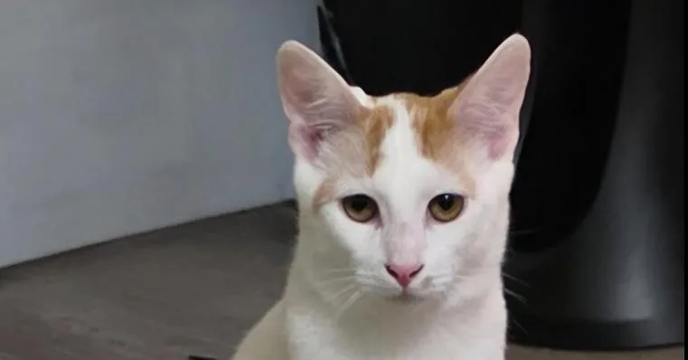 Catrick Swayze thumbnail 3