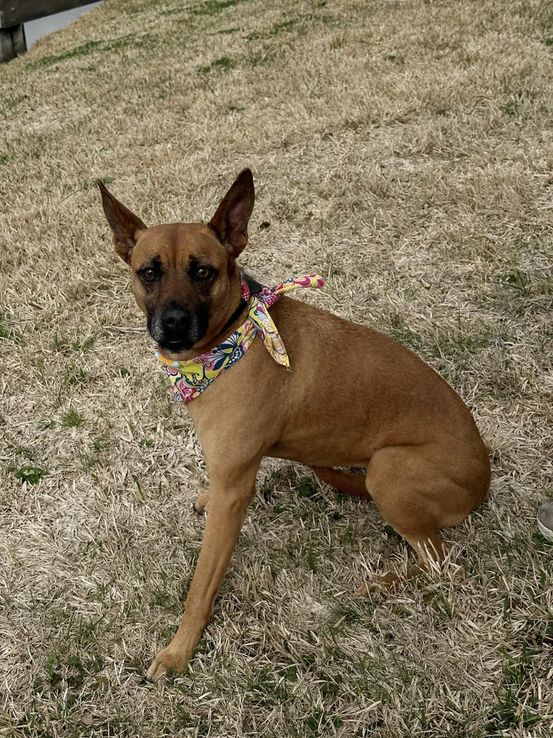 Xena A Sweetheart! thumbnail 2