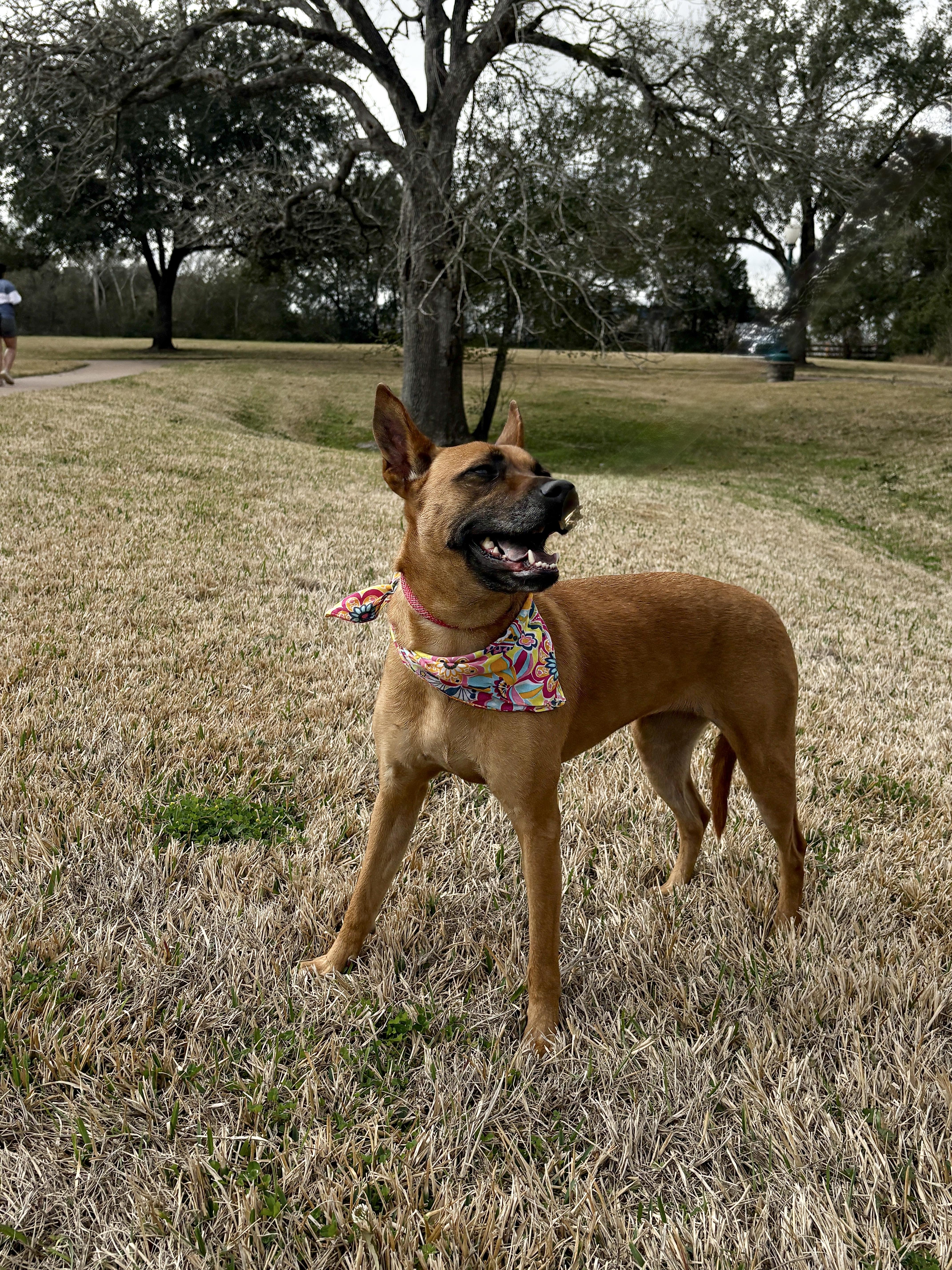 Xena A Sweetheart! thumbnail 3