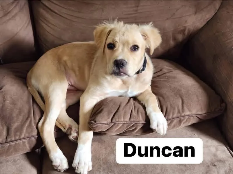 Duncan thumbnail 2