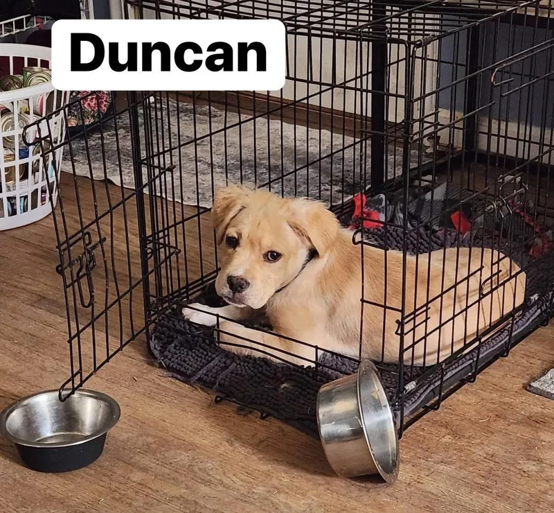 Duncan thumbnail 3
