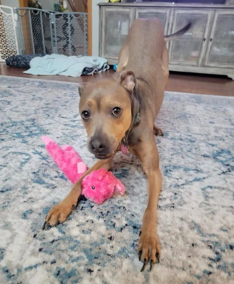 Klondike thumbnail 2