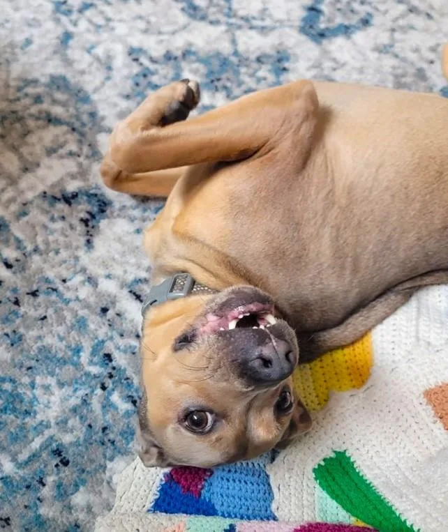 Klondike thumbnail 3