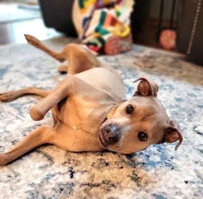 Klondike thumbnail 4