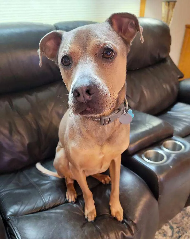 Klondike thumbnail 5