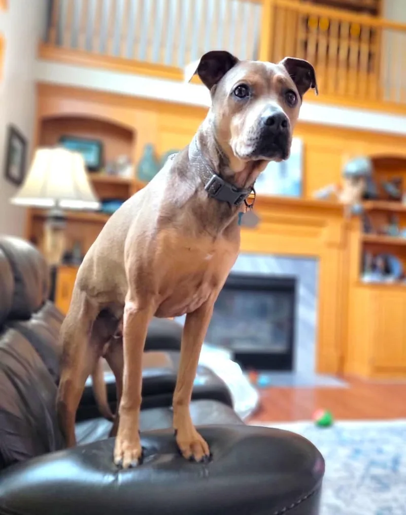 Klondike thumbnail 6