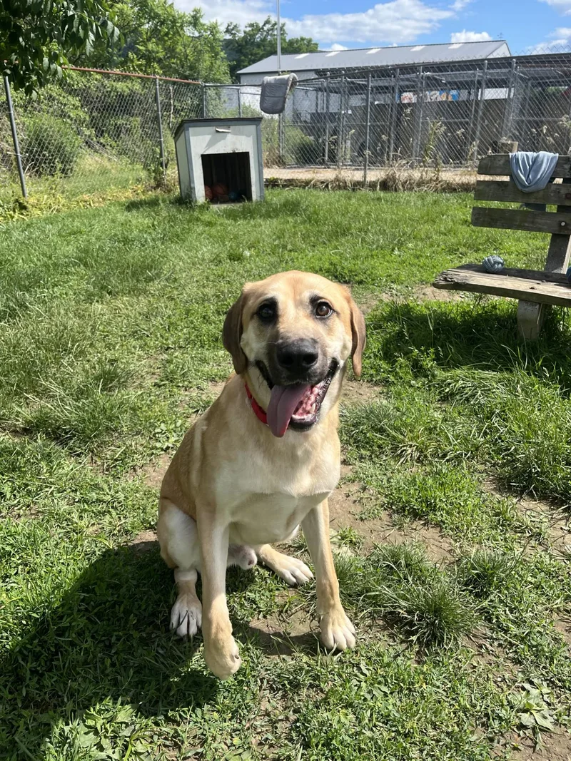 Dudley