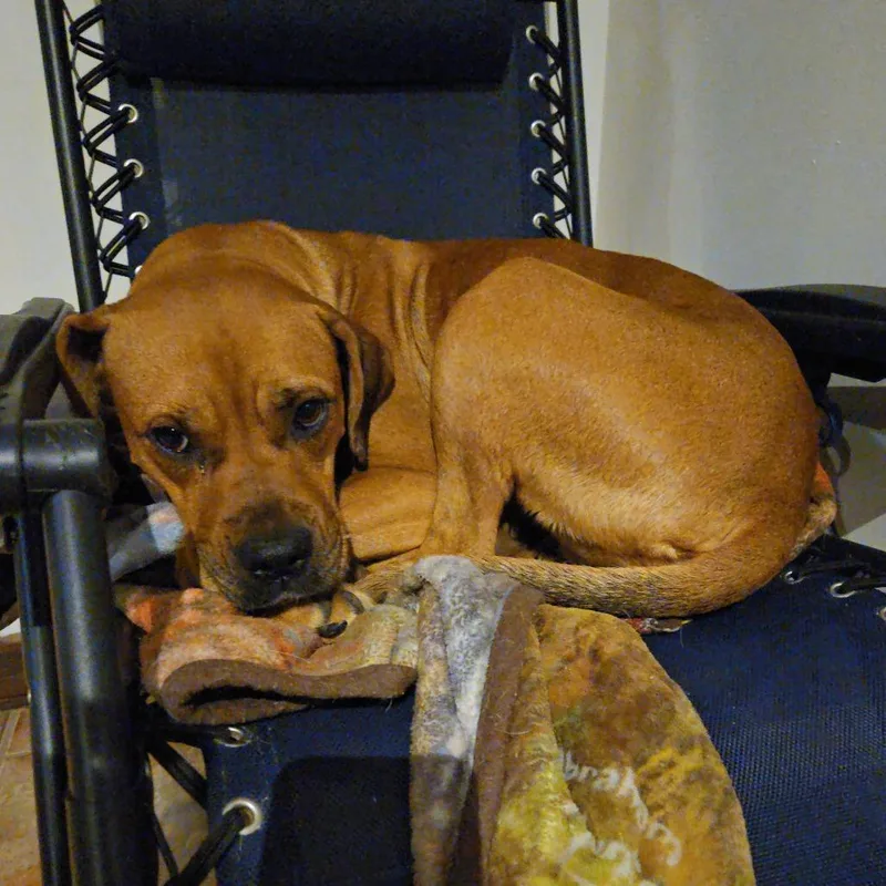 Winnie