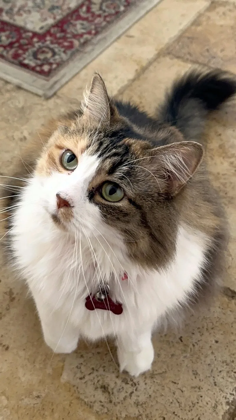 Molly thumbnail 2