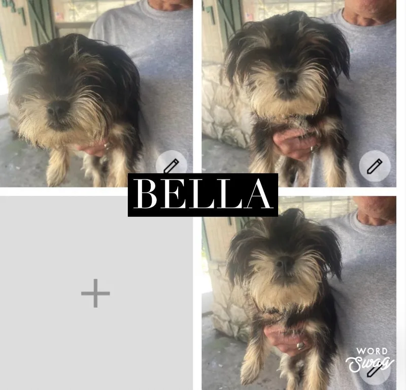 Bella