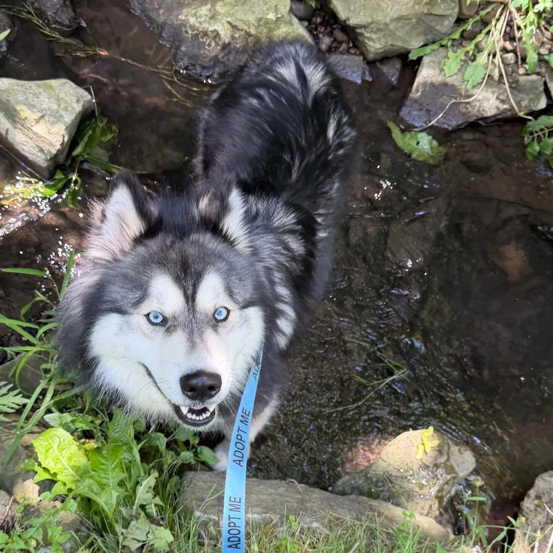 Tala thumbnail 2