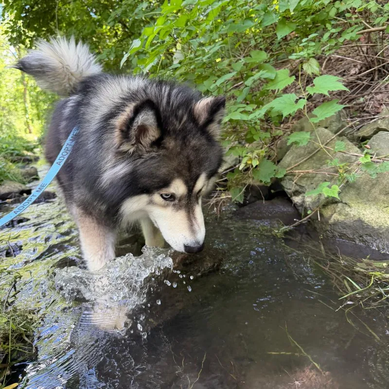 Tala thumbnail 5