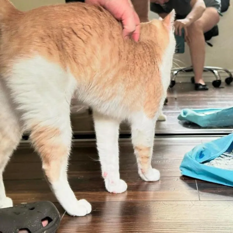 Andy thumbnail 3