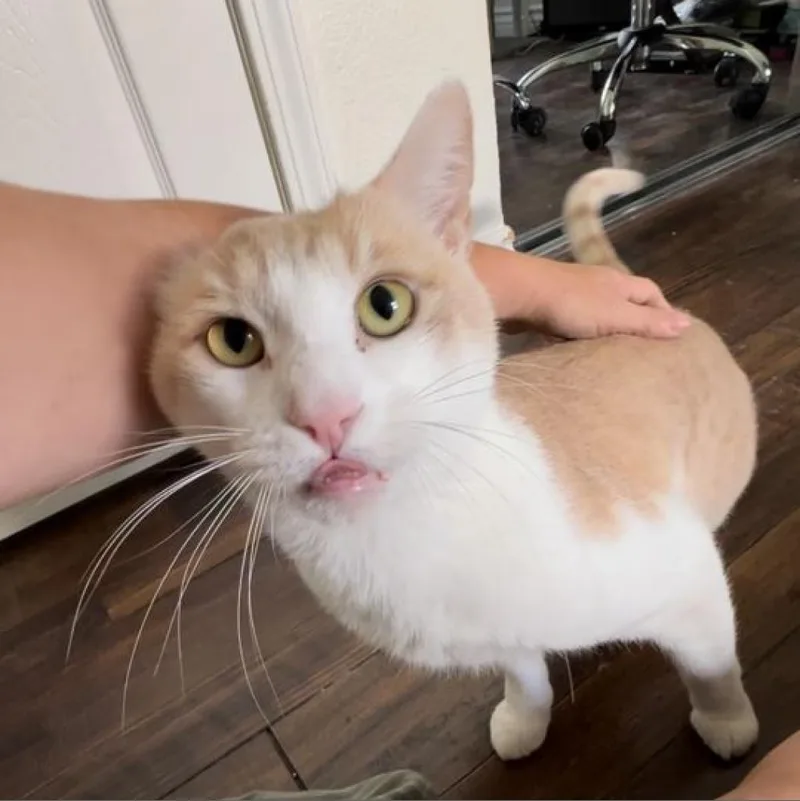 Andy thumbnail 5