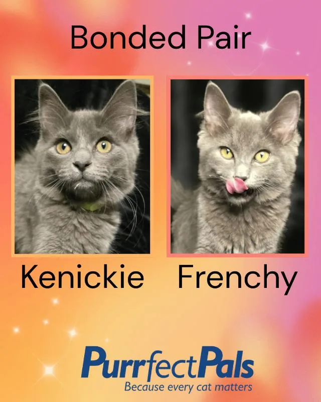 Kenickie