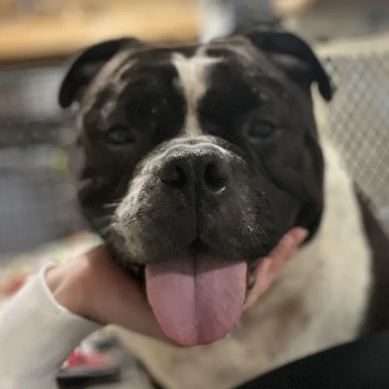 Tory Burch thumbnail 2