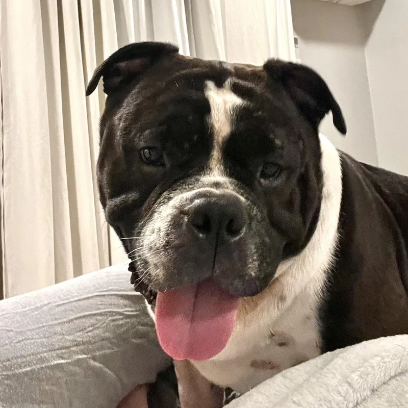 Tory Burch thumbnail 4