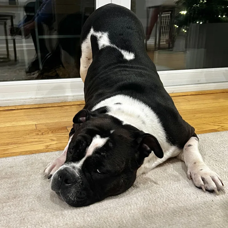 Tory Burch thumbnail 5