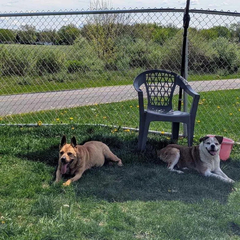 Eep Bonded With Ugga