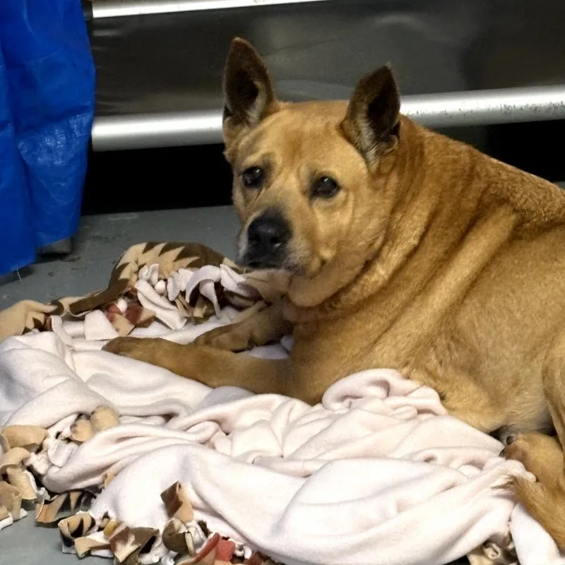 Eep Bonded With Ugga thumbnail 3