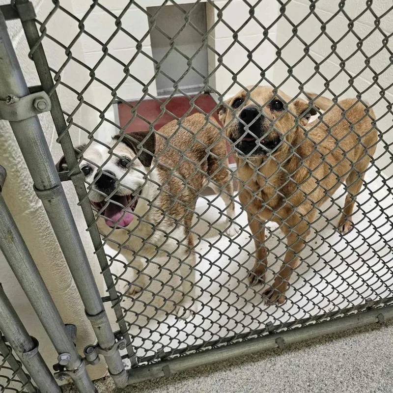 Eep Bonded With Ugga thumbnail 4