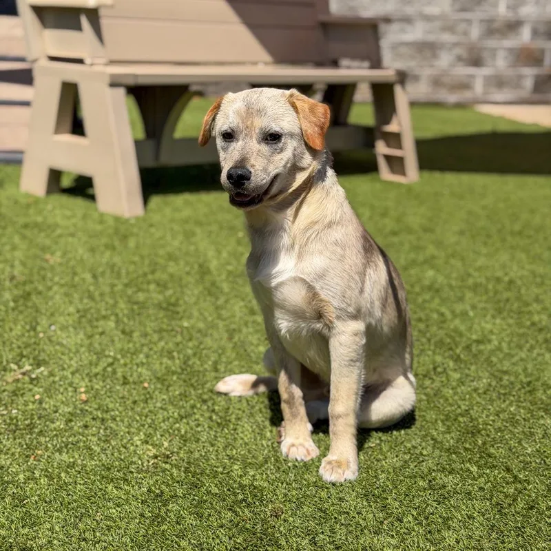 Tucker thumbnail 2