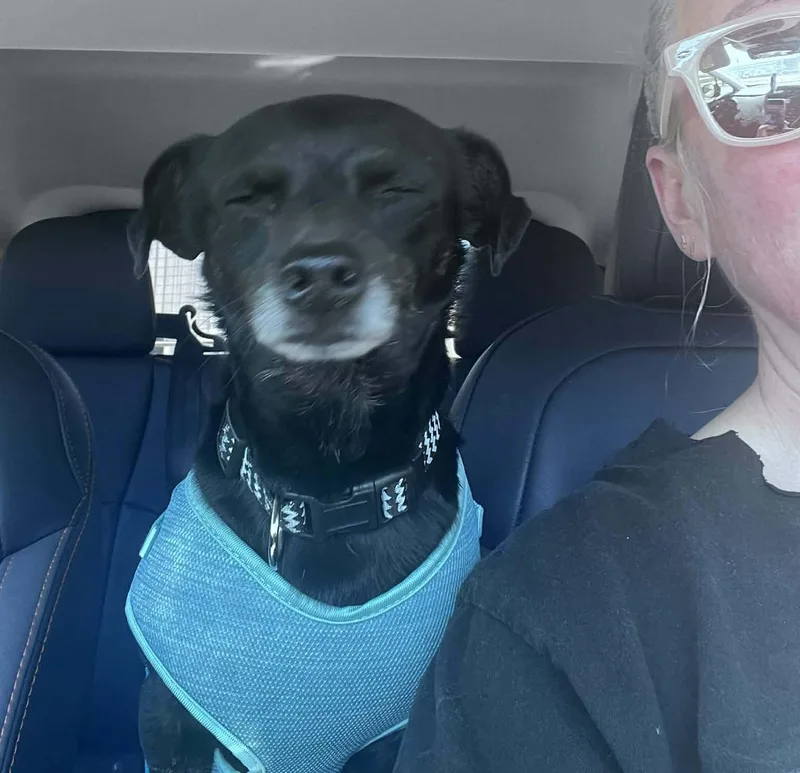 Peanut thumbnail 3