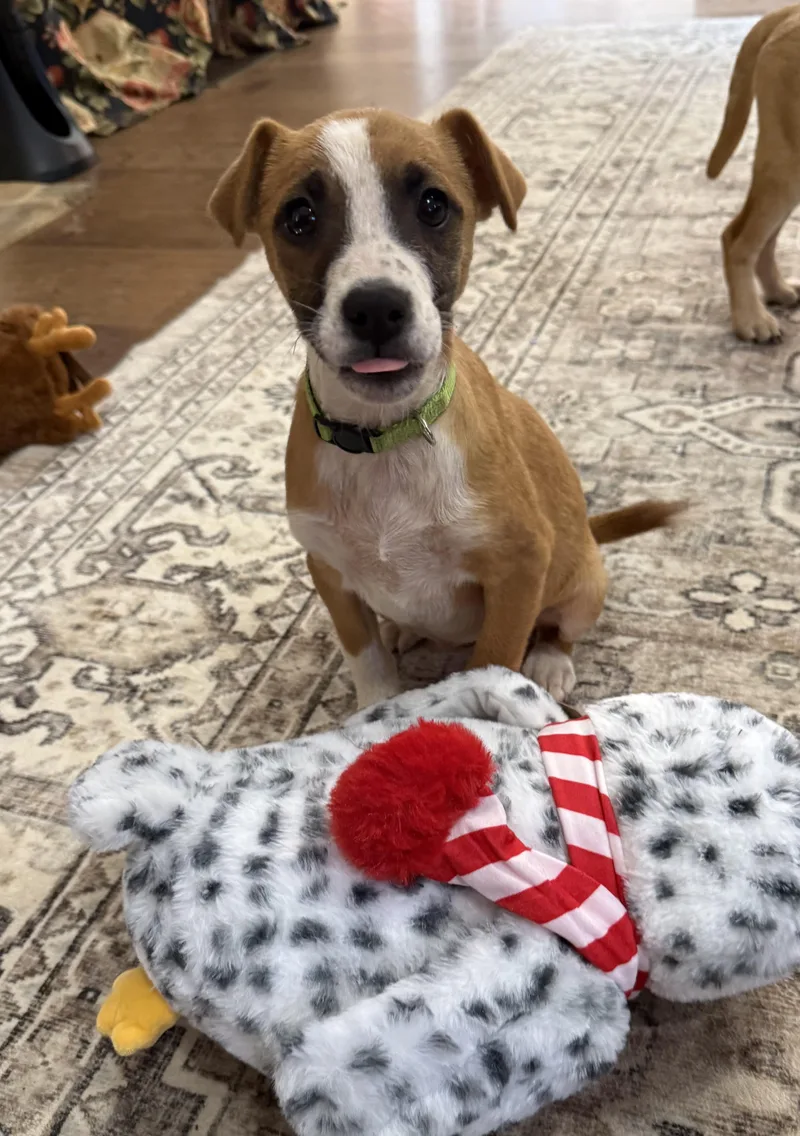 Jessie Smith thumbnail 2