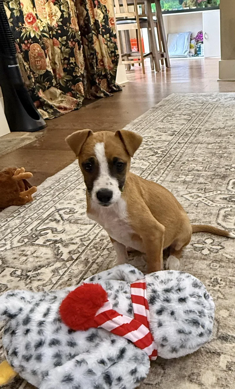 Jessie Smith thumbnail 3