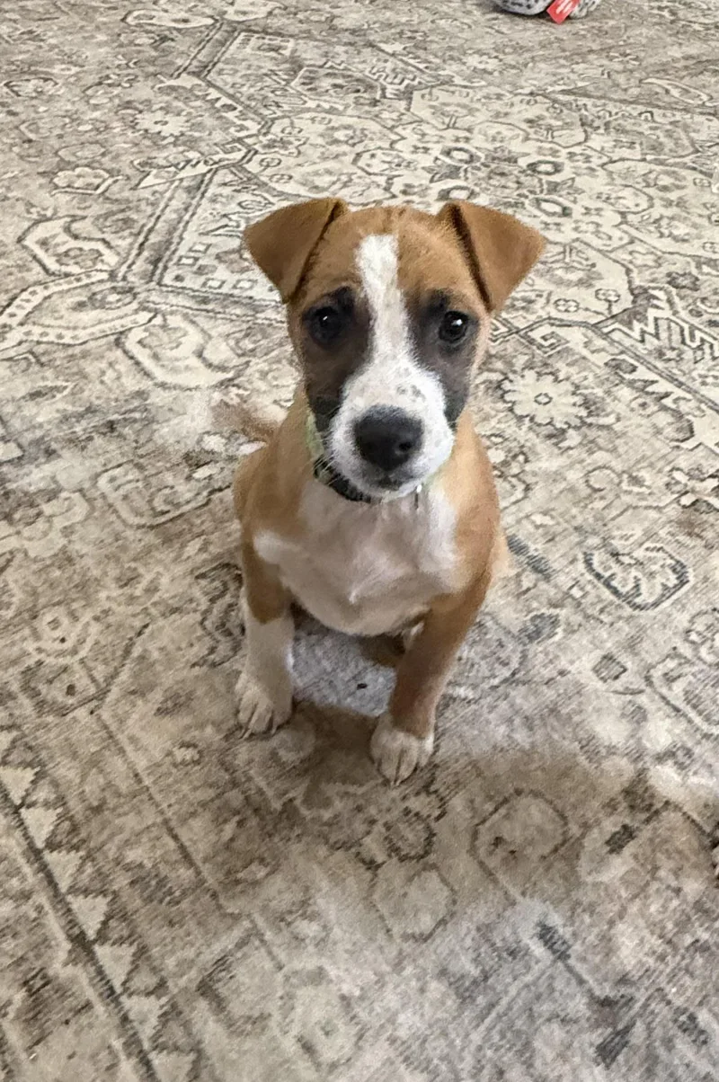 Jessie Smith thumbnail 4