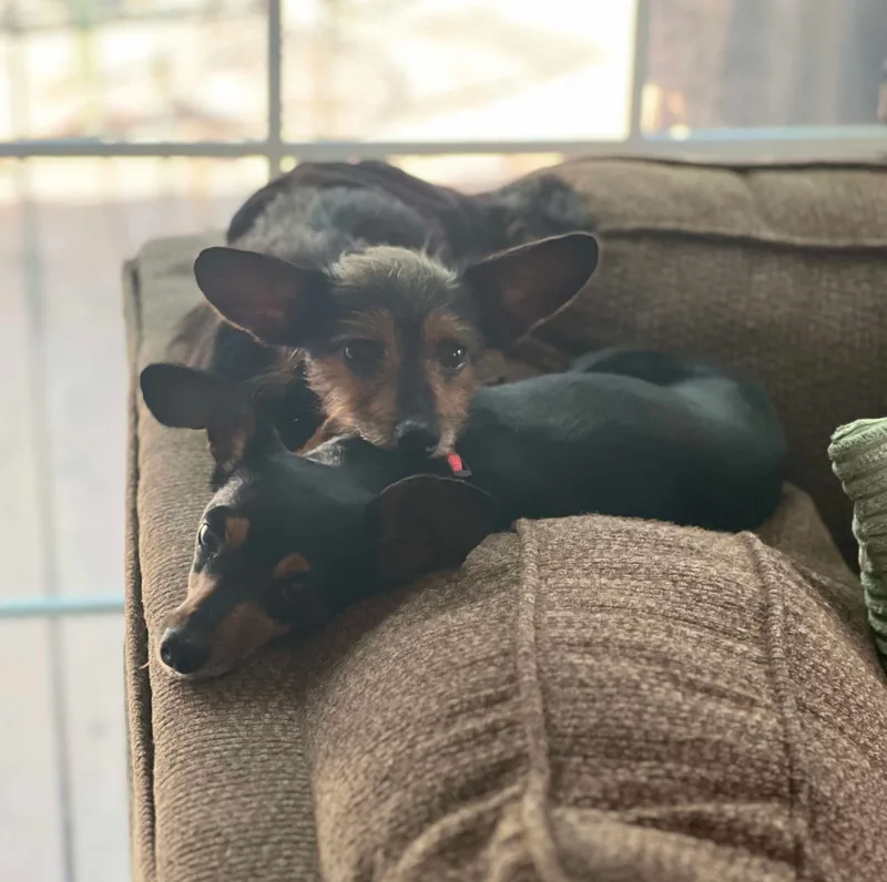 Winnie & Rizzo thumbnail 2