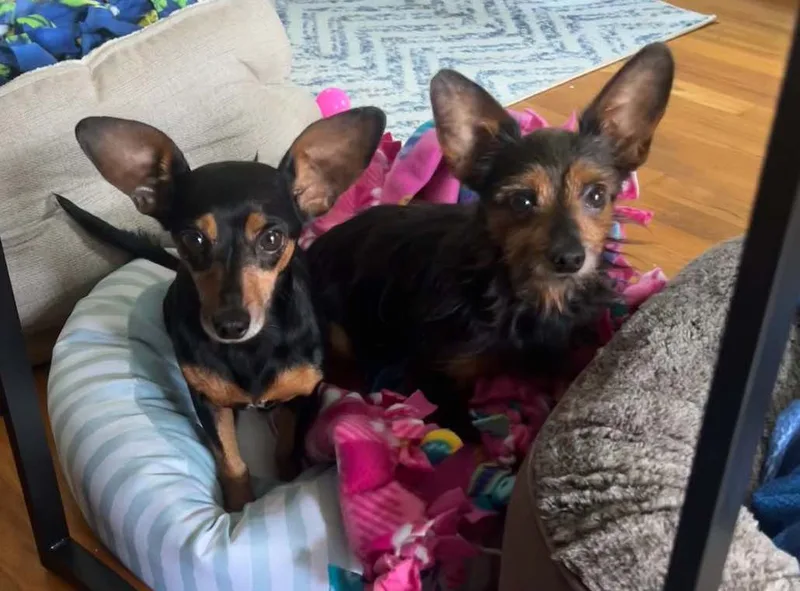 Winnie & Rizzo thumbnail 3