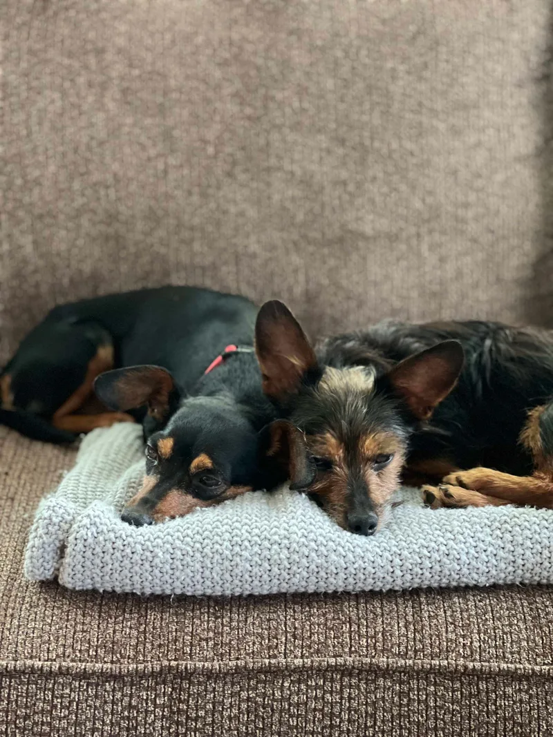 Winnie & Rizzo thumbnail 4