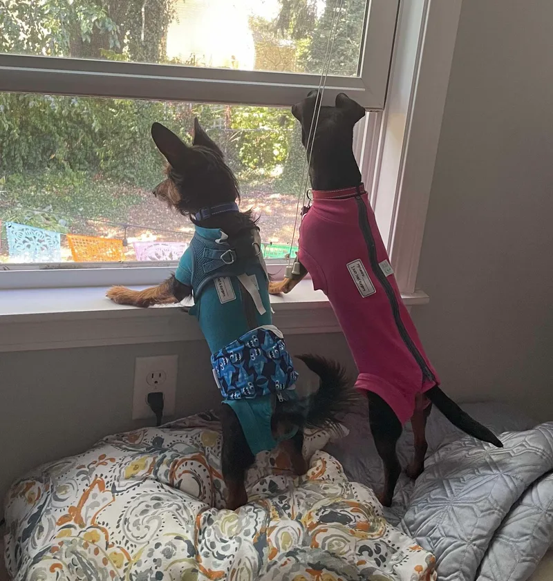 Winnie & Rizzo thumbnail 5