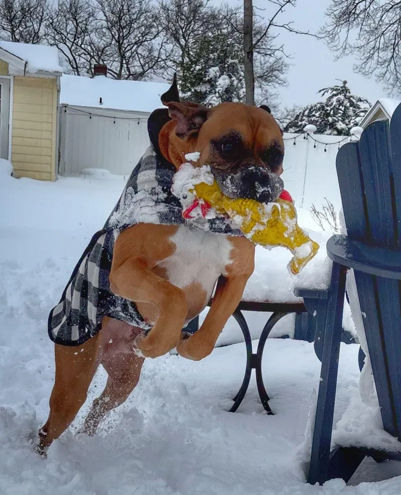 Mr Wrinkles thumbnail 4